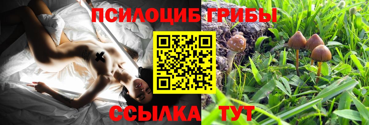 хочу   Псилоцибиновые грибы Magic Shrooms  Галлюциногенные грибы прущие грибы  Вход с VPN  Ставрополь 
