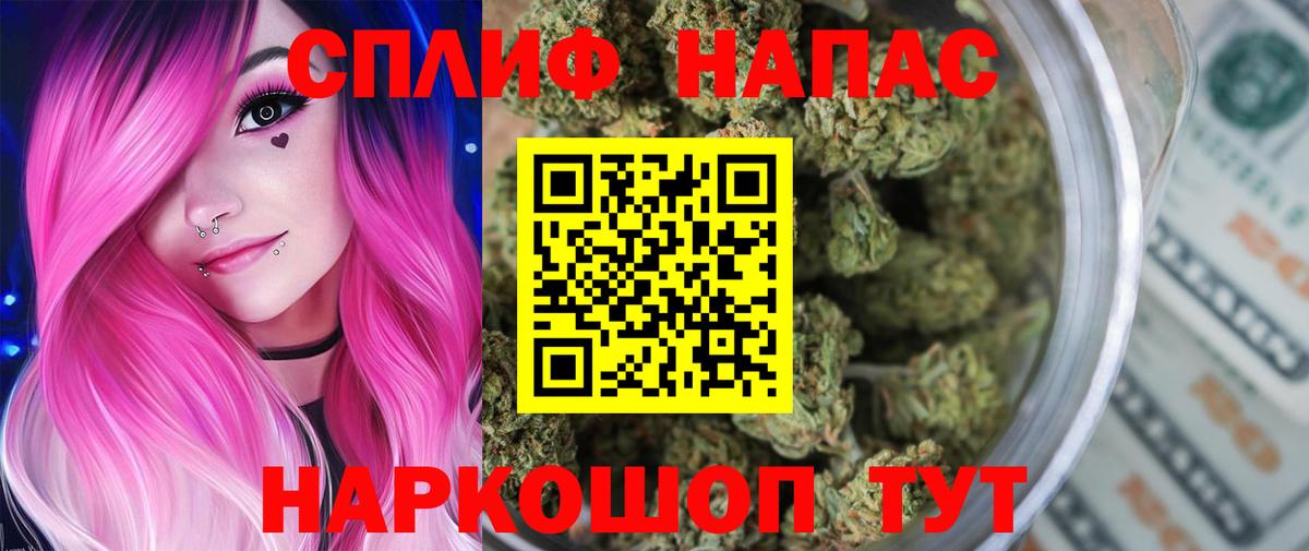 Бошки Шишки сатива Ставрополь